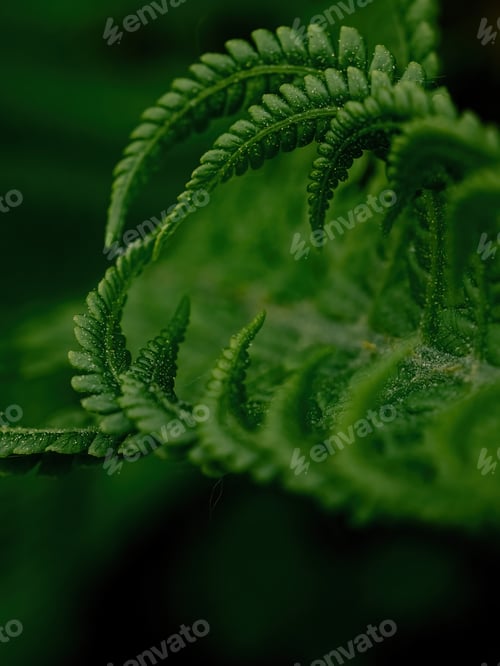 Preview: Green natural background.
