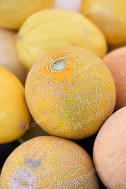 Preview: Yellow melons display background