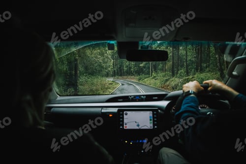 Preview: Couple driving on a road through a lush green forest