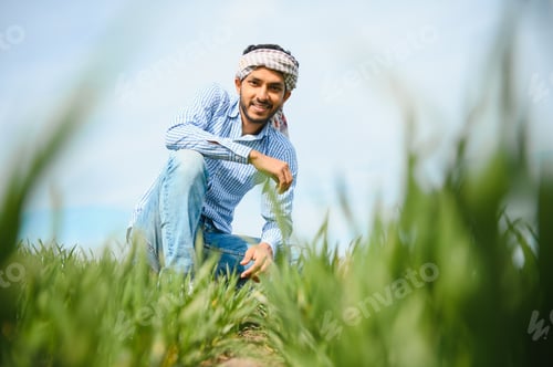 Preview: An Asian farmer stands in a rice field.