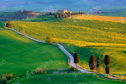 Preview: Country road called Gladiator Way and Terrapille farm, Pienza, Tuscany, Italy