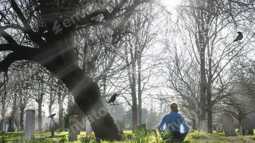 Preview: Back view of a female enjoying a day in the park