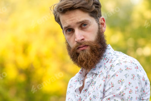 Preview: A man portrait with a beard and blue eyes, yellow background
