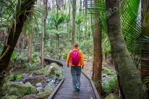 Preview: Tramping