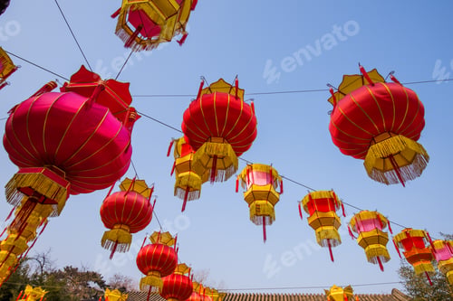 Preview: Traditional Chinese Red Lantern Hanging On Tree, celebrating New Year