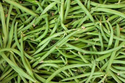 Preview: Fresh green beans on display at an Italian farmers' market