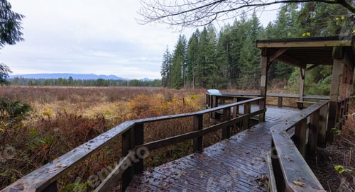 Preview: Derby Reach Regional Park in Langley, Greater Vancouver, British Columbia, Canada