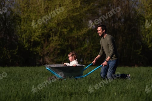 Preview: Father drives laughing daughter in blue wheelbarrow across green field of shallots. Happy family
