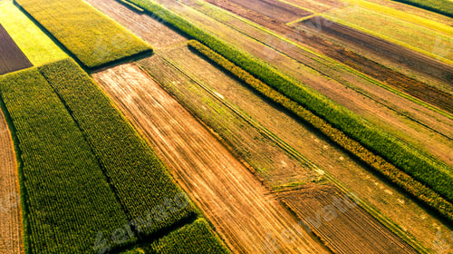 Preview: Colorful Countryside Farm Fields. Cultivated Soil with Crops. Ae