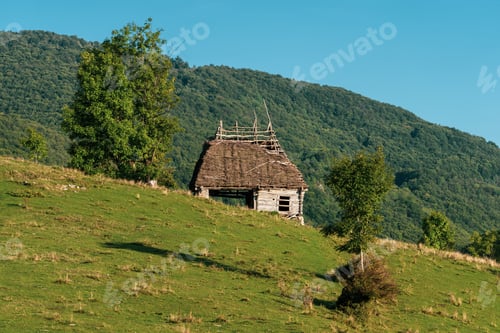 Preview: Simple Living in Nature