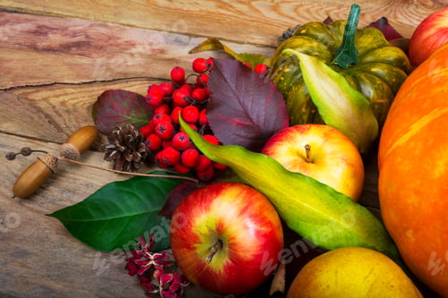 Preview: Harvest background with apples, rowan berries, green squash