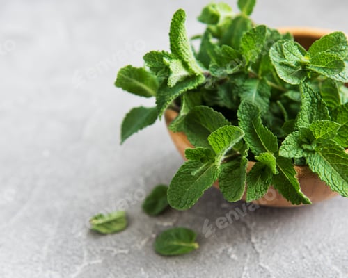 Preview: Fresh mint leaves
