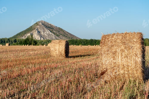 Preview: Mowed field and straw bales laid one after the other after harvest against the cloudy sky