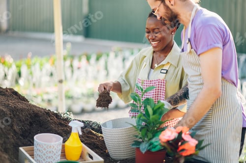 Preview: Multiracial couple of gardeners transplanting a plant while working in a greenhouse