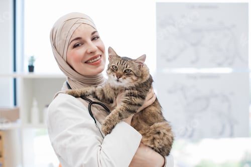 Preview: Arabian lady with cat in hands standing at pet care facility
