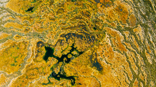 Preview: Miory District, Vitebsk Region, Belarus. The Yelnya Swamp. Upland And Transitional Bogs With