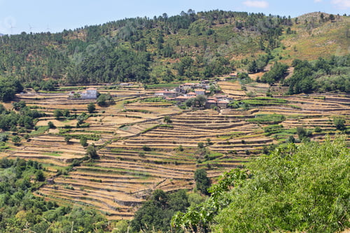 Preview: Viewpoint of the Terraces overlooking the Agricultural terraces Sistelo, Portugal.