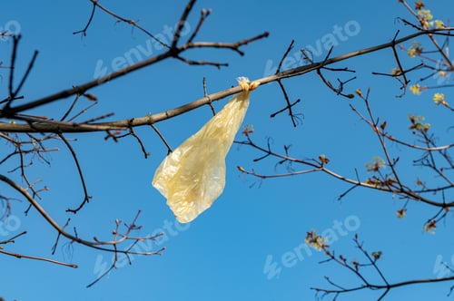 Preview: A plastic bag hangs on a tree branch. Environmental pollution