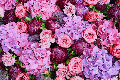Preview: Vibrant Floral Arrangement of Roses and Hydrangeas