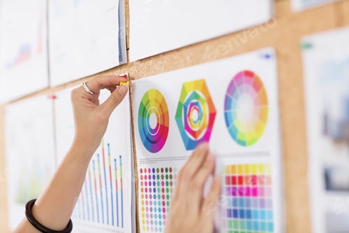 Preview: Woman pinning up colour charts and graphs