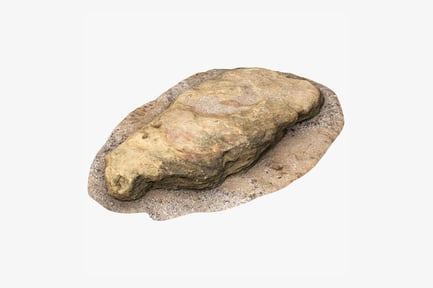 Preview: Weathered Flat Limestone Boulder on Sandy Terrain