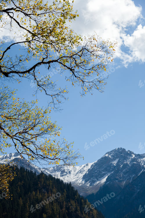 Preview: Majestic snow-covered mountain peaks against lush green forest in Sichuan Province, China