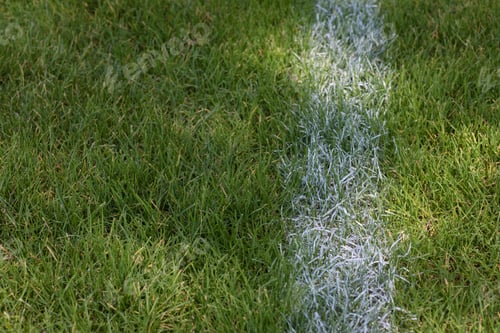 Preview: Closeup of white line painted on school soccer field. Sports competition game concept