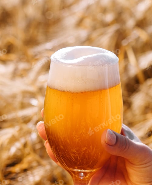 Preview: glass of beer in hand against the background of wheat field