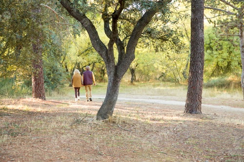 Preview: Photo with copy space of a couple walking in the forest