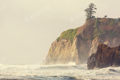Preview: Olympic coast