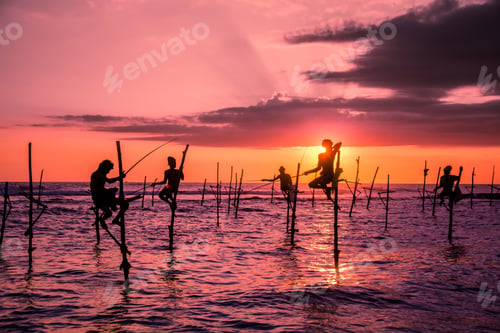 Preview: Traditional stilt fisherman in Sri Lanka