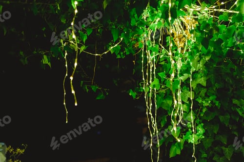Preview: LED lights decorating a tree at night to create a romantic atmosphere at a dinner.