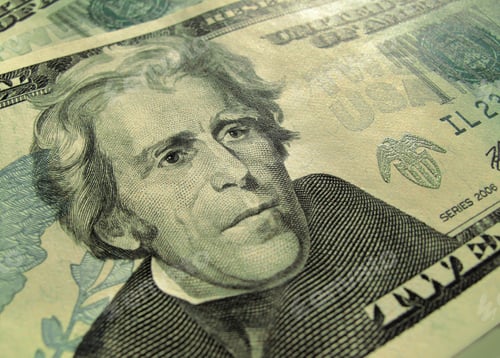 Preview: twenty american dollars