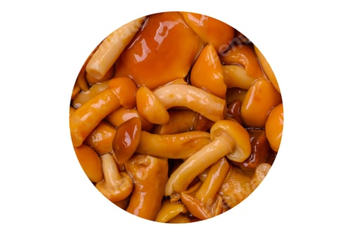 Preview: Delicious pickled honey mushrooms with salt and spices in a ceramic plate