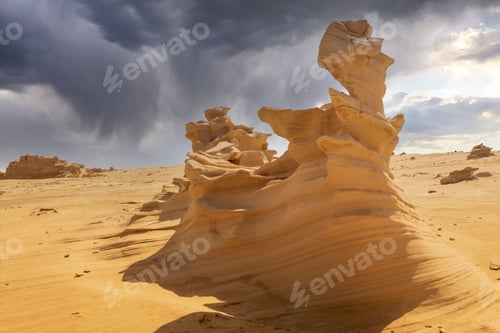 Preview: Fossil Rocks in the Desert