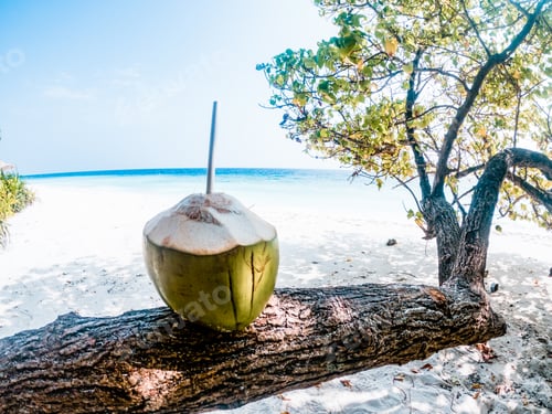Preview: coconut on a tropical beach