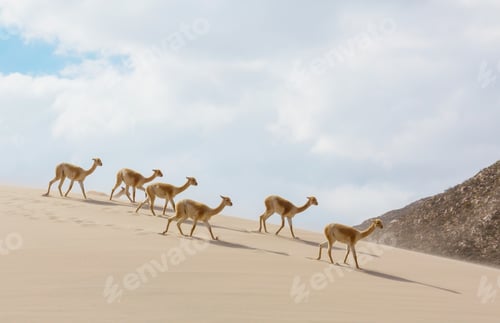 Preview: Vicuna