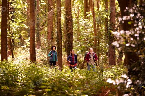Preview: Group Of Young Female Friends On Camping Holiday Hiking Through Woods And Enjoying Nature Together