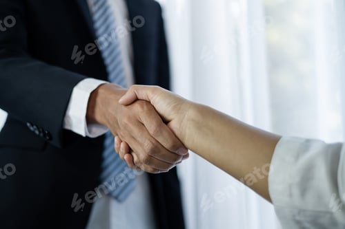 Preview: The businessmen and businesswoman shake hands after the meeting was successful and agreed upon