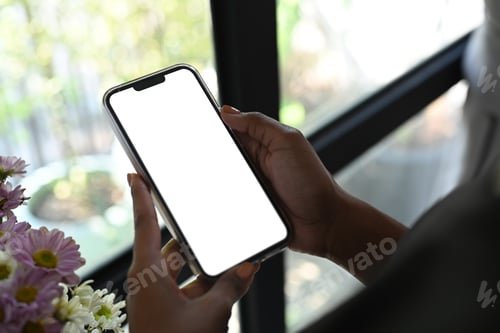 Preview: Woman hands holding mobile phone with white empty screen standing in bright living room.