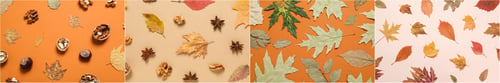 Preview: Collage of photos for Autumn season concept