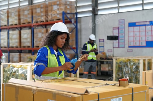 Preview: Young warehouse workers working together. Business distribution supply and logistic shipment.