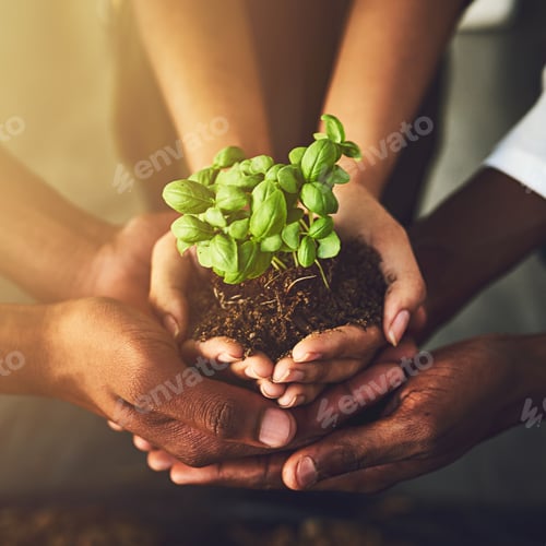 Preview: Closeup shot of a group of unrecognizable people holding a plant growing out of soil
