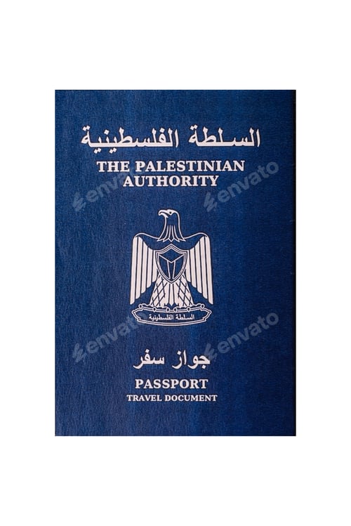 Preview: International passport of a citizen Palestine