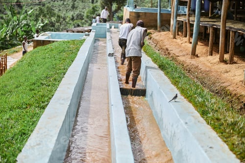 Preview: Male employers working at coffee production at washing center