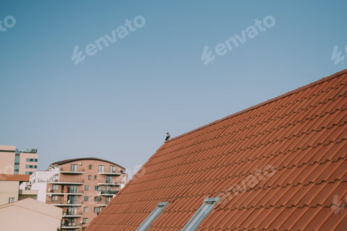 Preview: Urban street in the neighbourhood