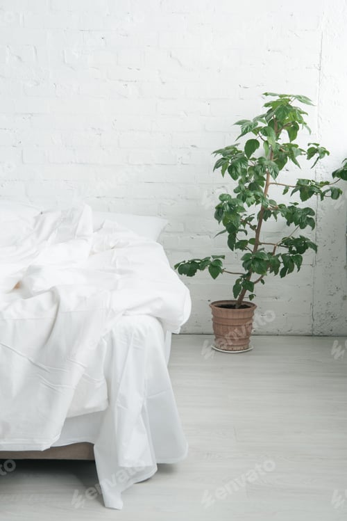 Preview: Bed with white sheets and blanket, green plant