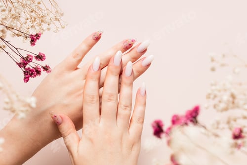 Preview: Spring manicure of woman hands with white gel polish and dried flower design. Gypsophila flowers
