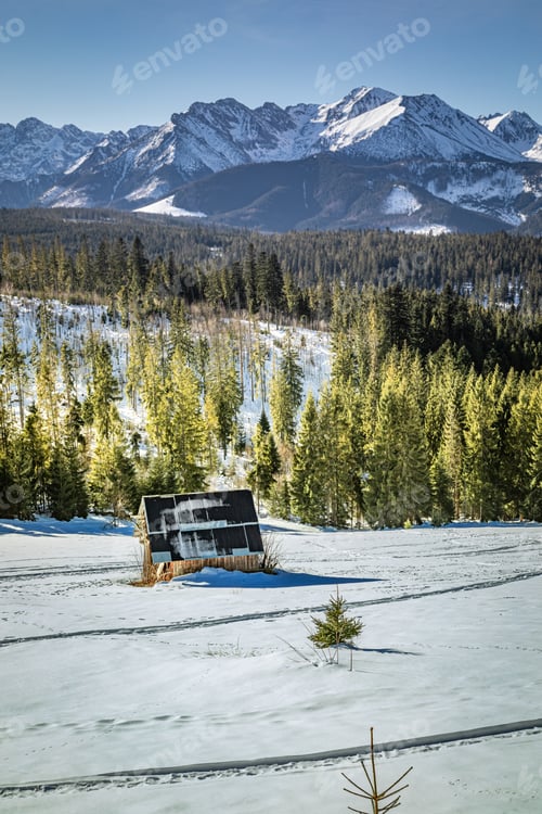 Preview: Small wooden snowy mountain hut and green forest in Tatras