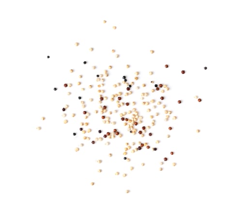 Preview: quinoa isolated on white background